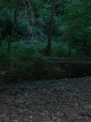 DSCN7676.JPG