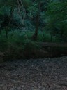 DSCN7676.JPG