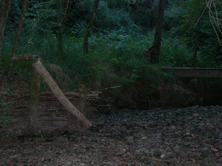 DSCN7677.JPG