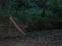 DSCN7677.JPG