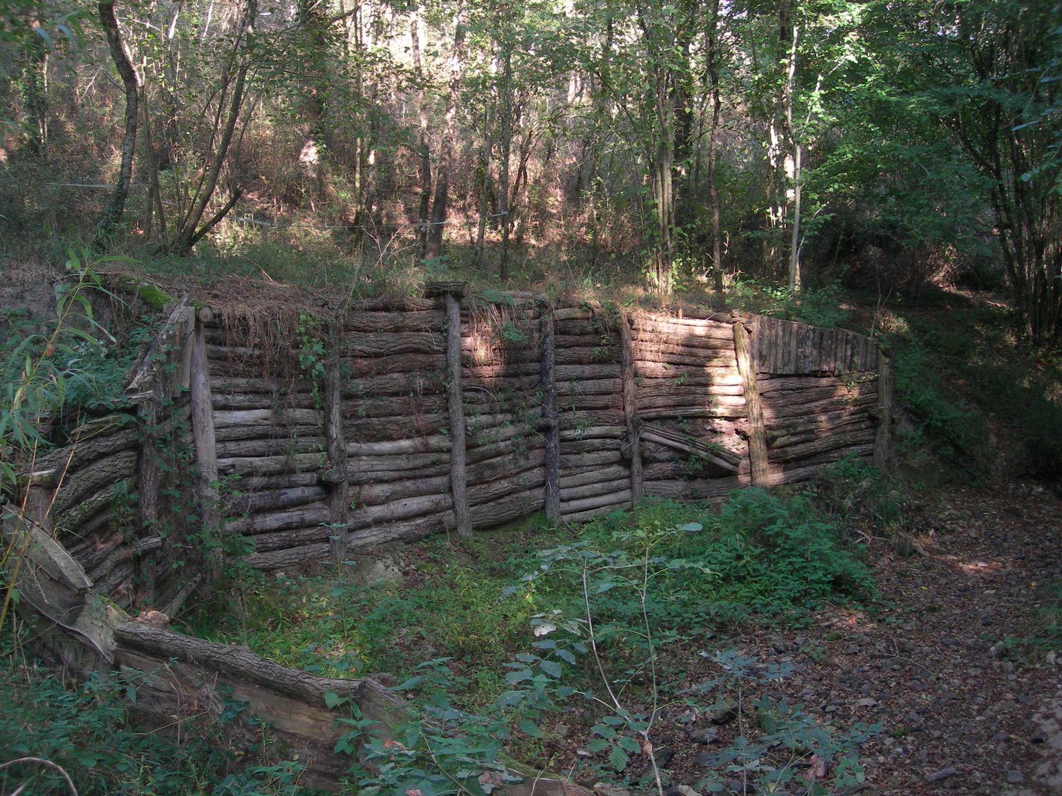 DSCN7678.JPG