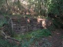 DSCN7678.JPG