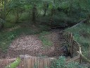DSCN7679.JPG