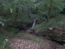 DSCN7680.JPG