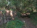 DSCN7681.JPG