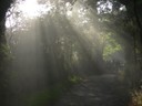 DSCN7698.JPG