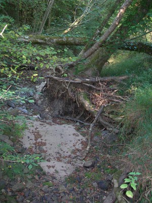 DSCN7707.JPG