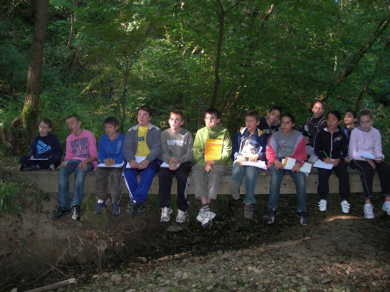 DSCN7708.JPG