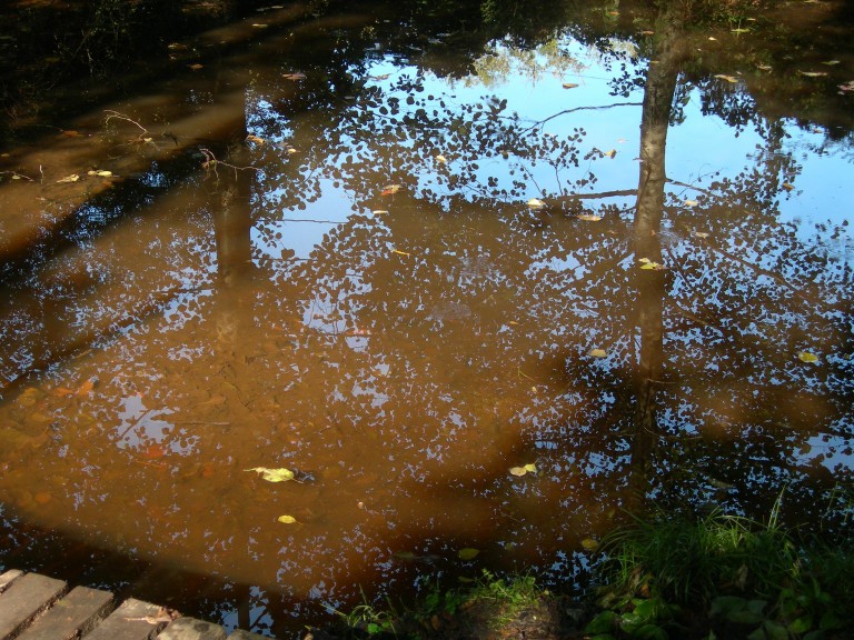 DSCN7713.JPG