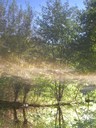 DSCN7716.JPG