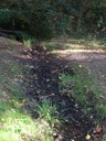 DSCN7717.JPG