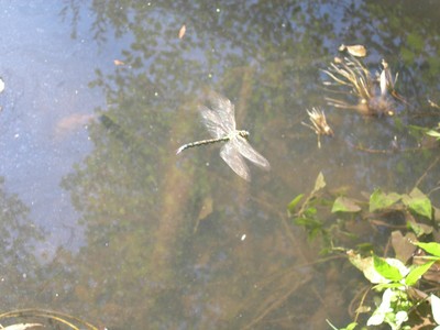 DSCN7718.JPG