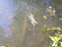 DSCN7718.JPG