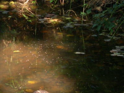 DSCN7719.JPG