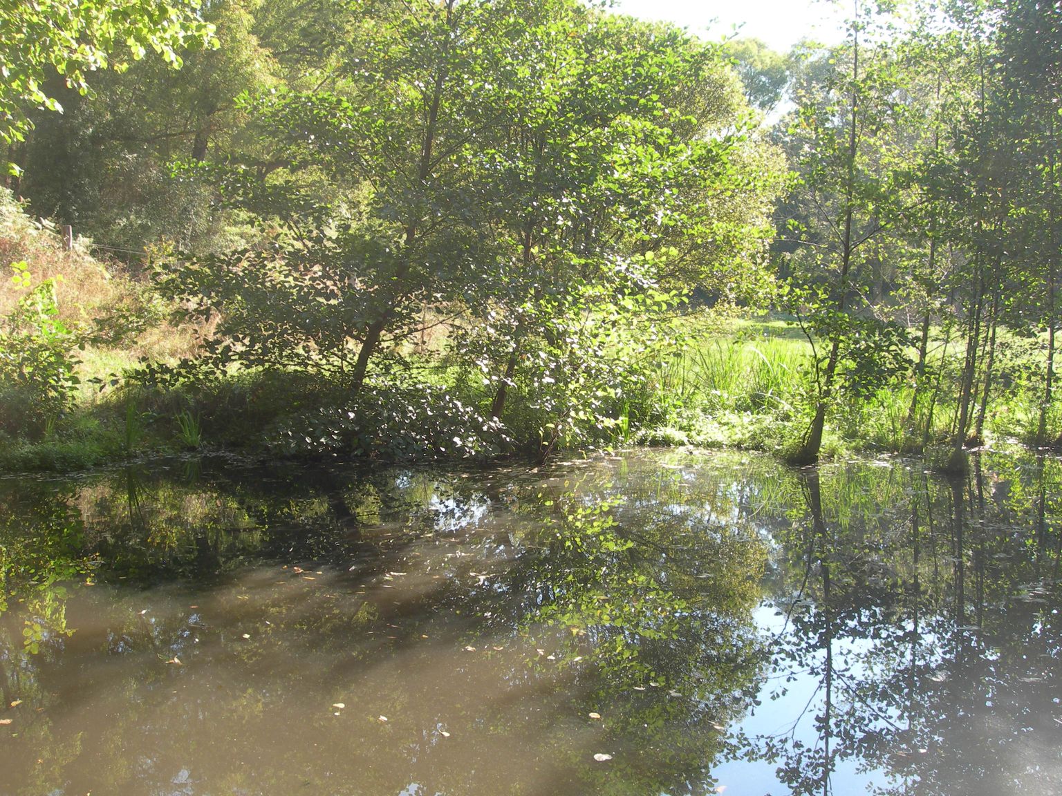 DSCN7724.JPG