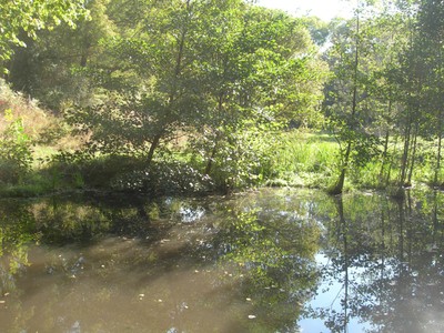 DSCN7724.JPG