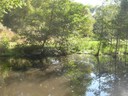 DSCN7724.JPG