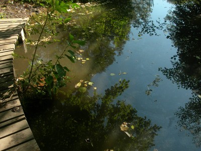 DSCN7725.JPG