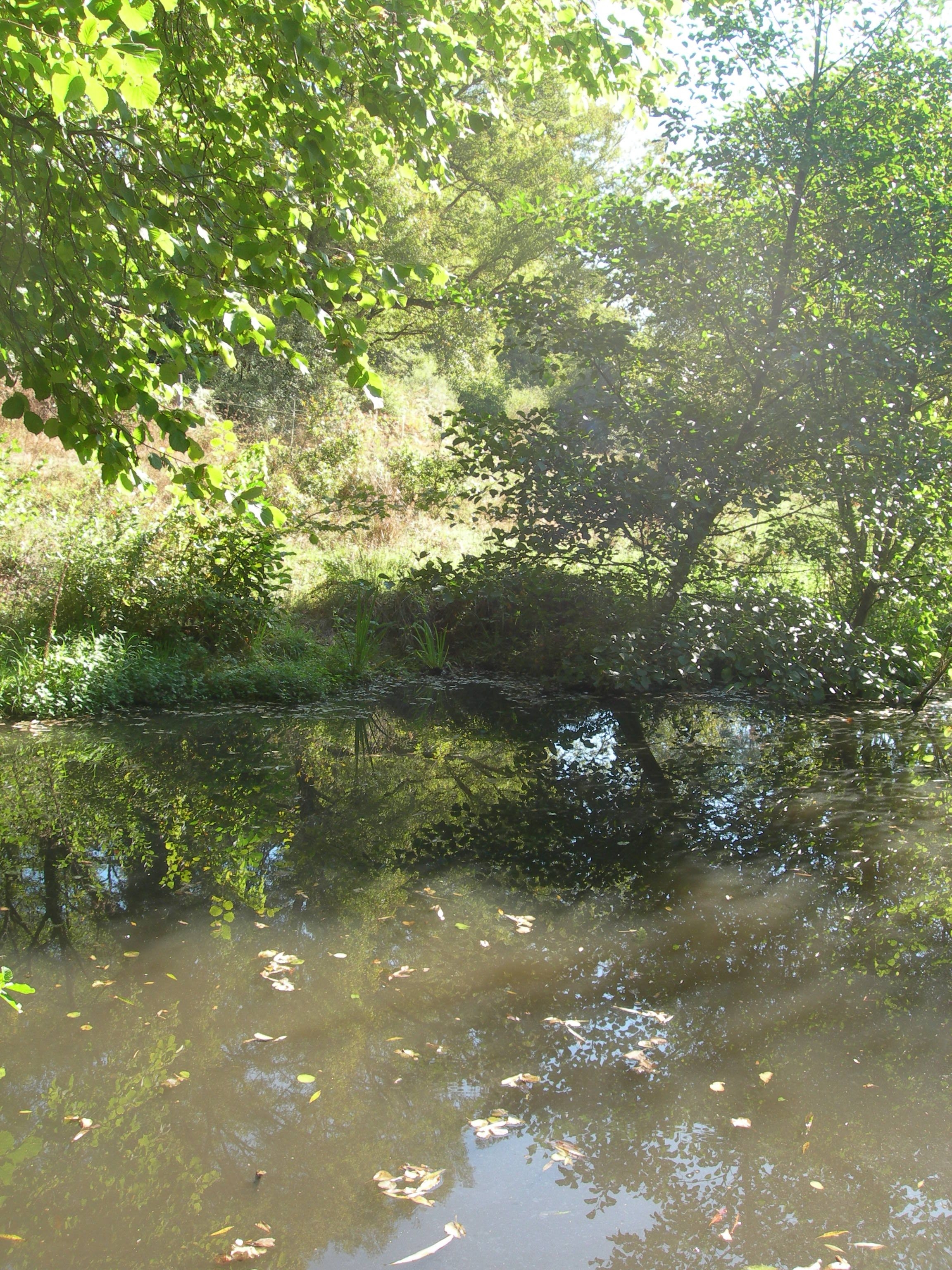 DSCN7726.JPG