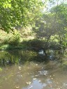 DSCN7726.JPG