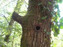 DSCN7732.JPG