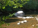 DSCN7733.JPG