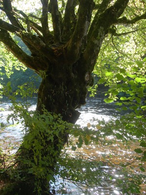 DSCN7735.JPG