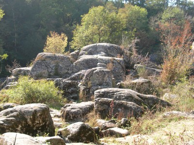 DSCN7736.JPG