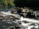 DSCN7737.JPG