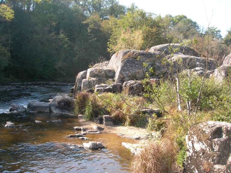 DSCN7738.JPG