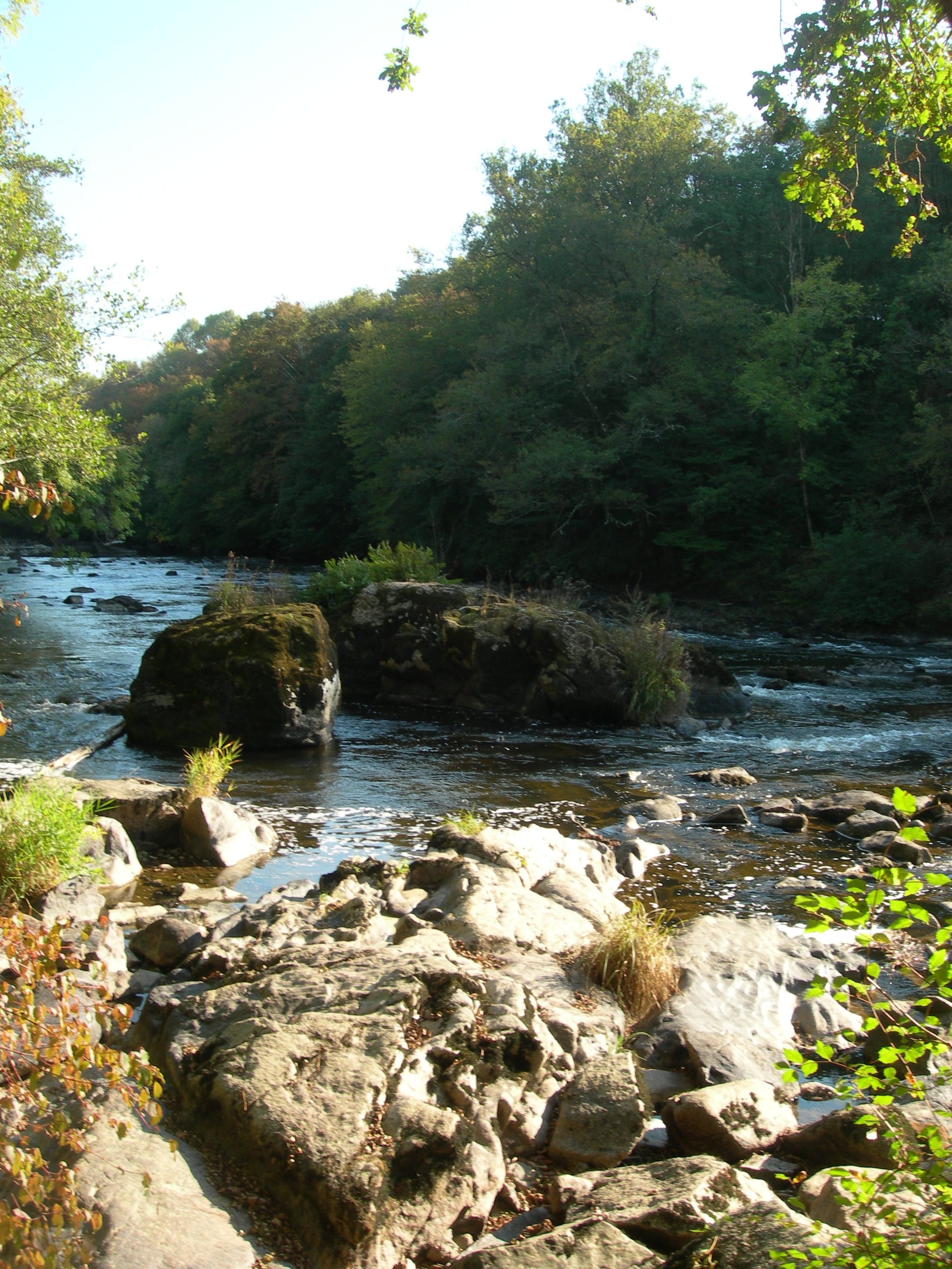 DSCN7749.JPG