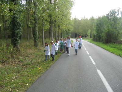 IMG_0905.JPG