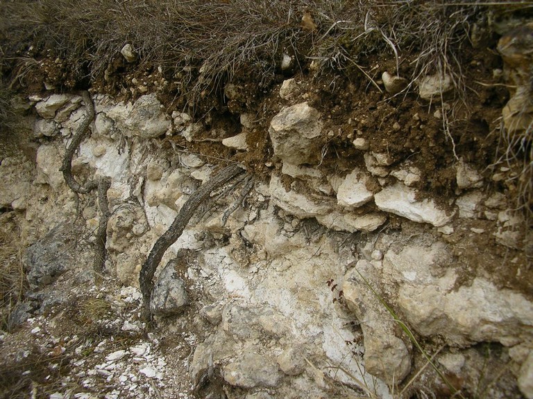 IMGP0827.JPG