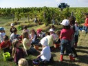 vendande laetitia 015.jpg