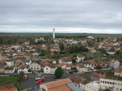 IMG_5614.JPG