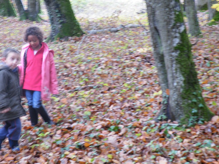 Photo 004.jpg