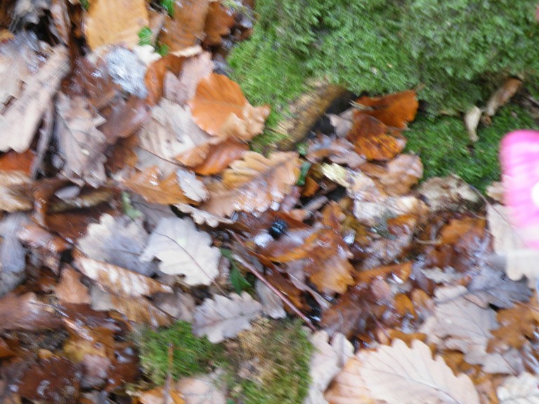 Photo 015.jpg