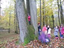 Photo 037.jpg