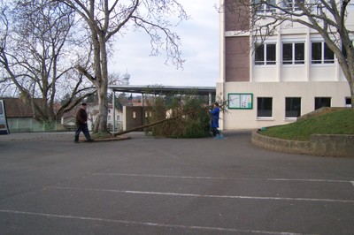 100_2935.JPG