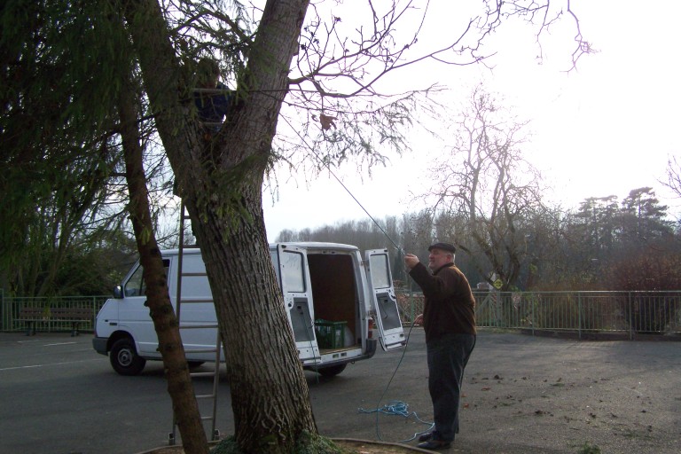 100_2937.JPG