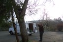 100_2937.JPG
