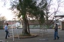 100_2951.JPG