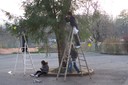 100_2953.JPG