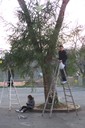 100_2954.JPG