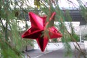 100_2961.JPG