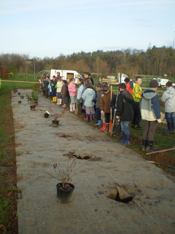 plantations La Gorande 013.jpg