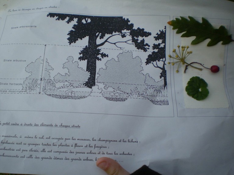 plantations La Gorande 042.jpg