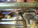 CIMG0632.JPG