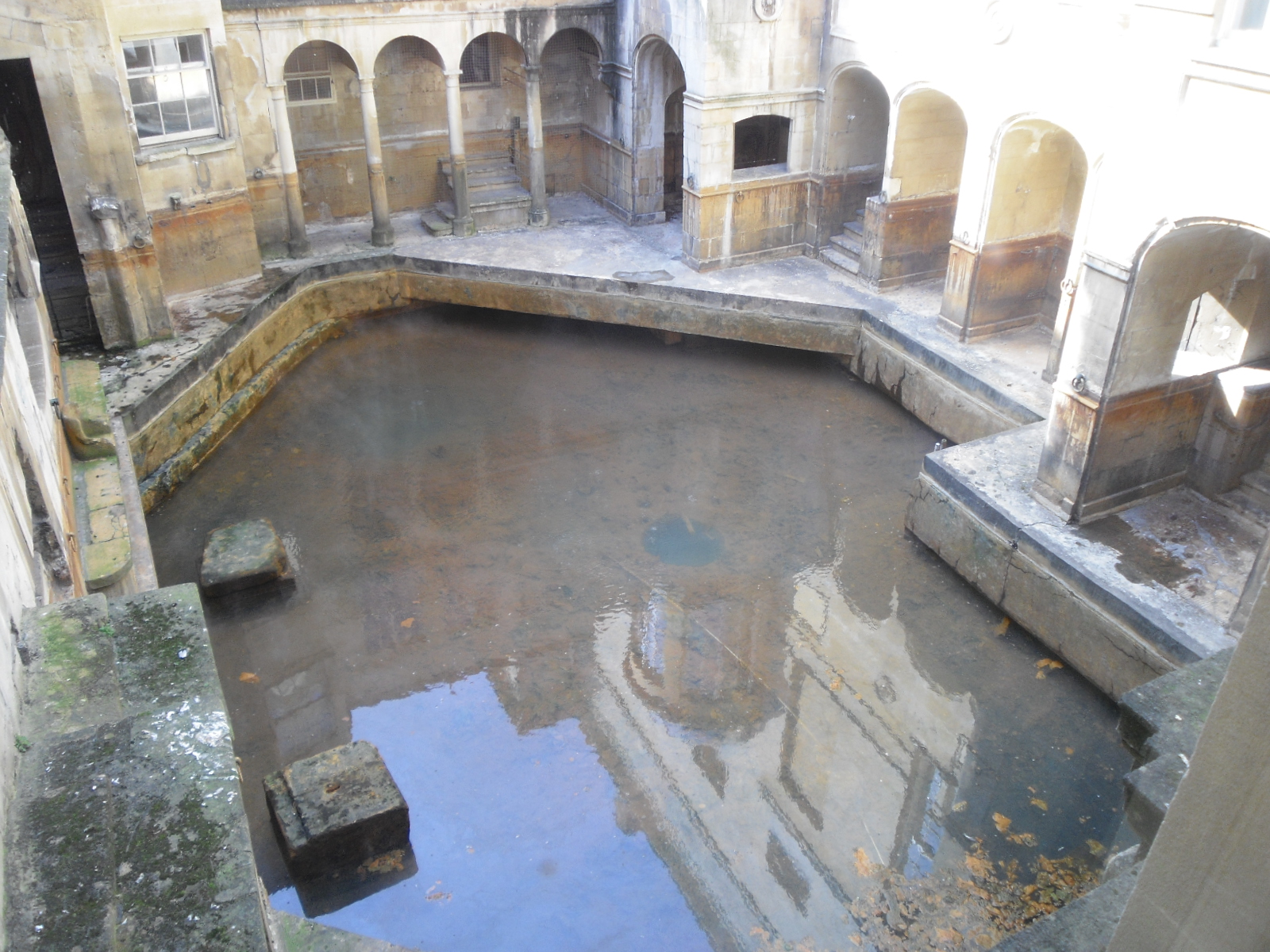 CIMG0795.JPG