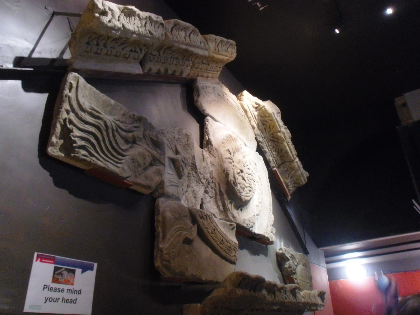 CIMG0799.JPG